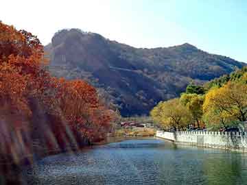 管家婆黑白马报图库，低碳商城